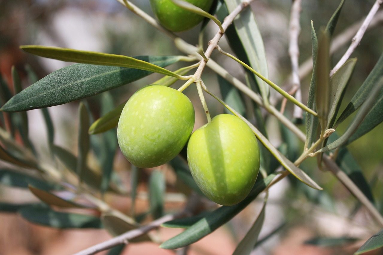 Rüyada Zeytin Yemek