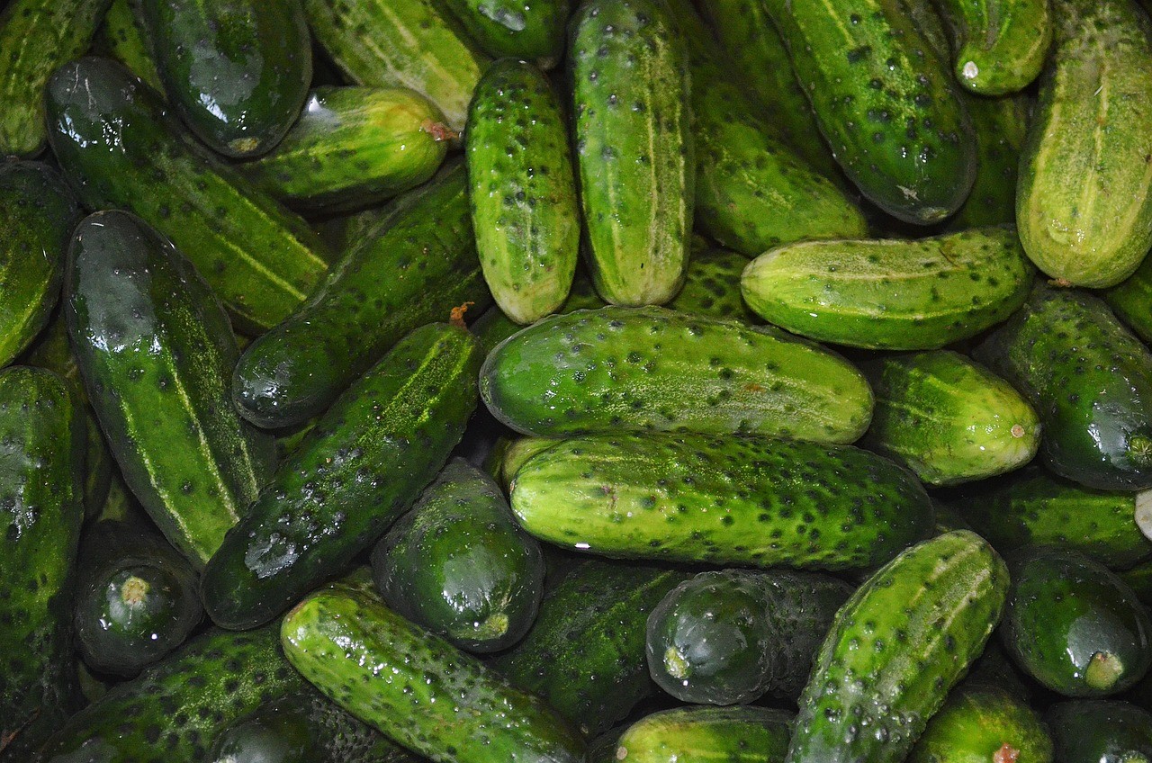 Rüyada Eşek Hıyarı Görmek