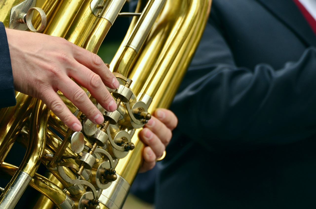 Rüyada Orkestra Şefi Olmak