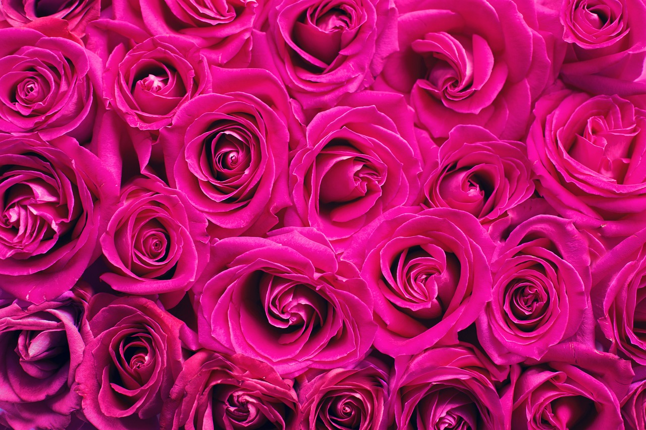 Rüyada Pembe Gıvışgan Görmek
