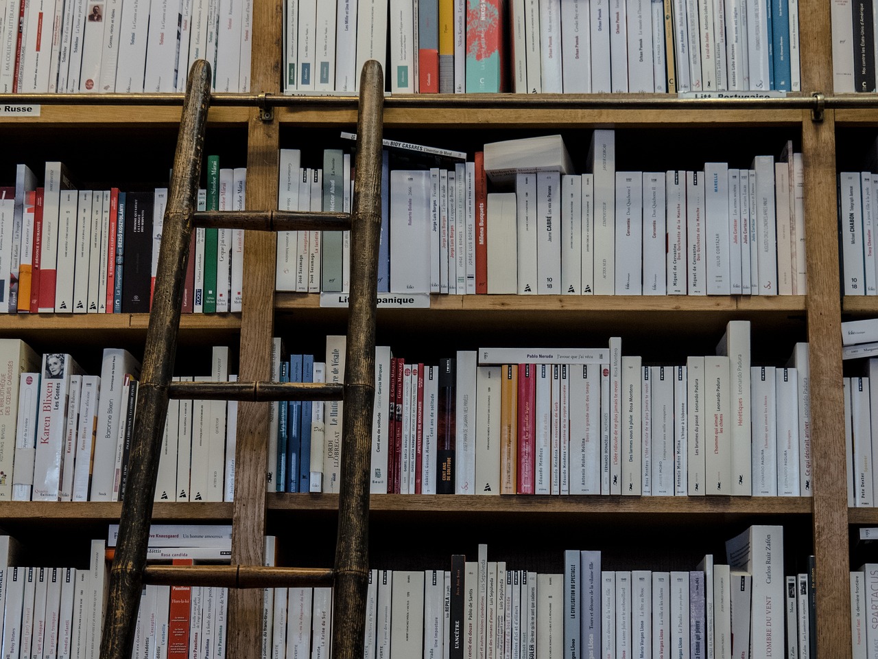 Rüyada Kütüphaneye Kitap Bağışlamak