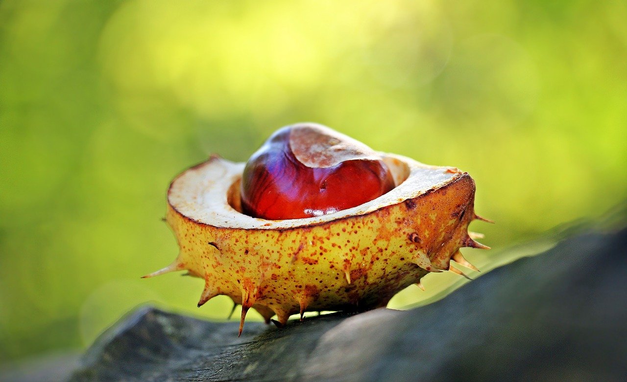 Rüyada Durian Yemek