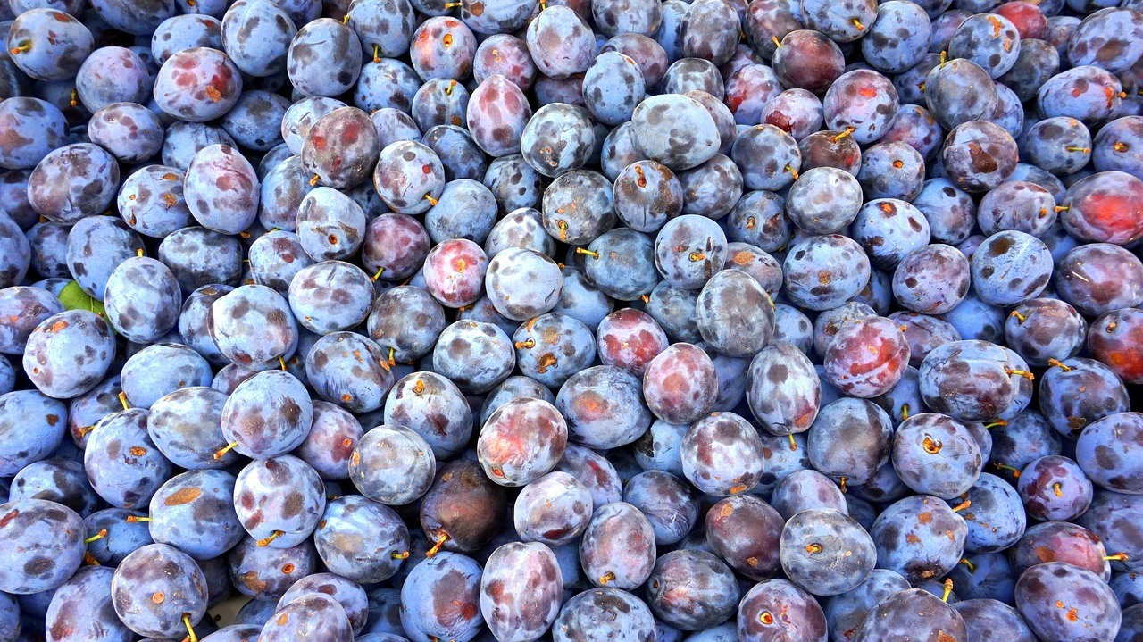 Rüyada Damson Eriği Yemek