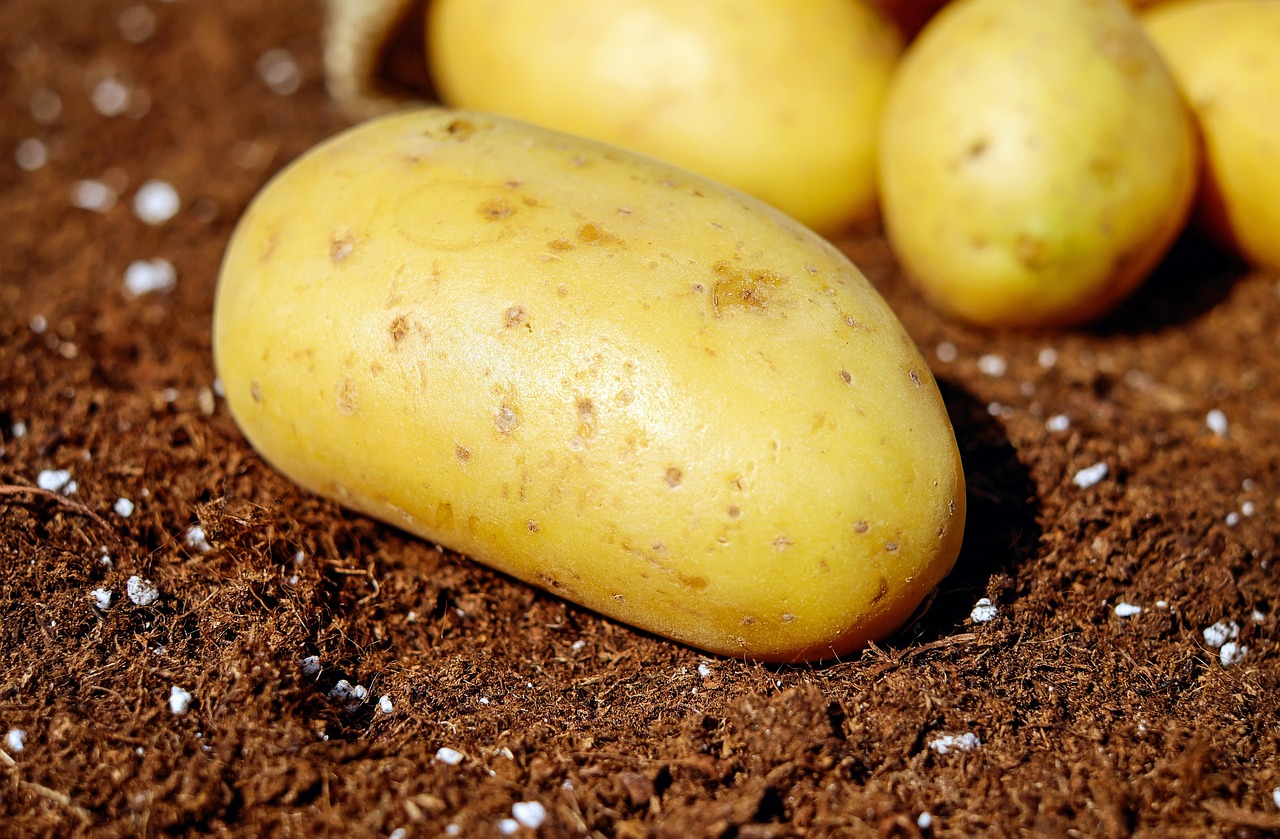 Rüyada Fırında Patates Yemek