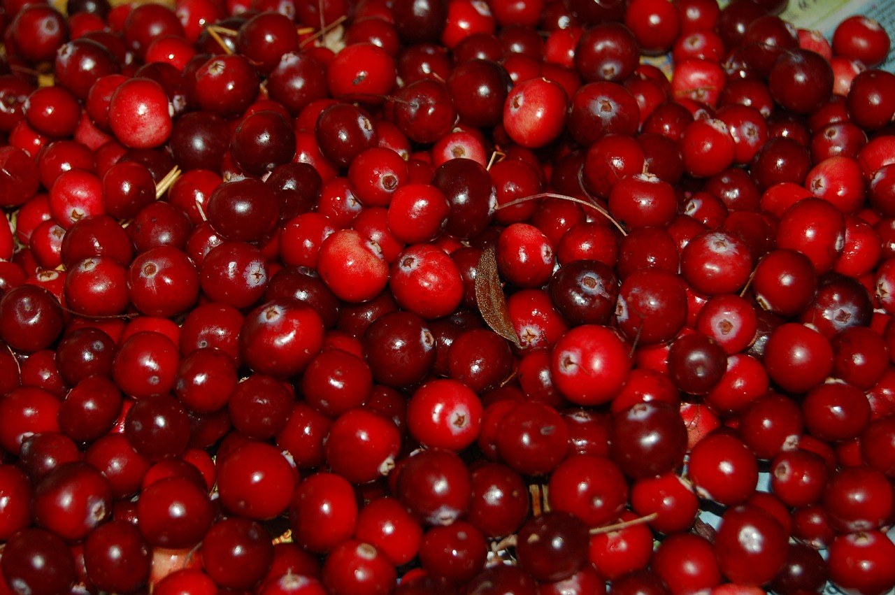 Rüyada Kekreyemiş Yemek