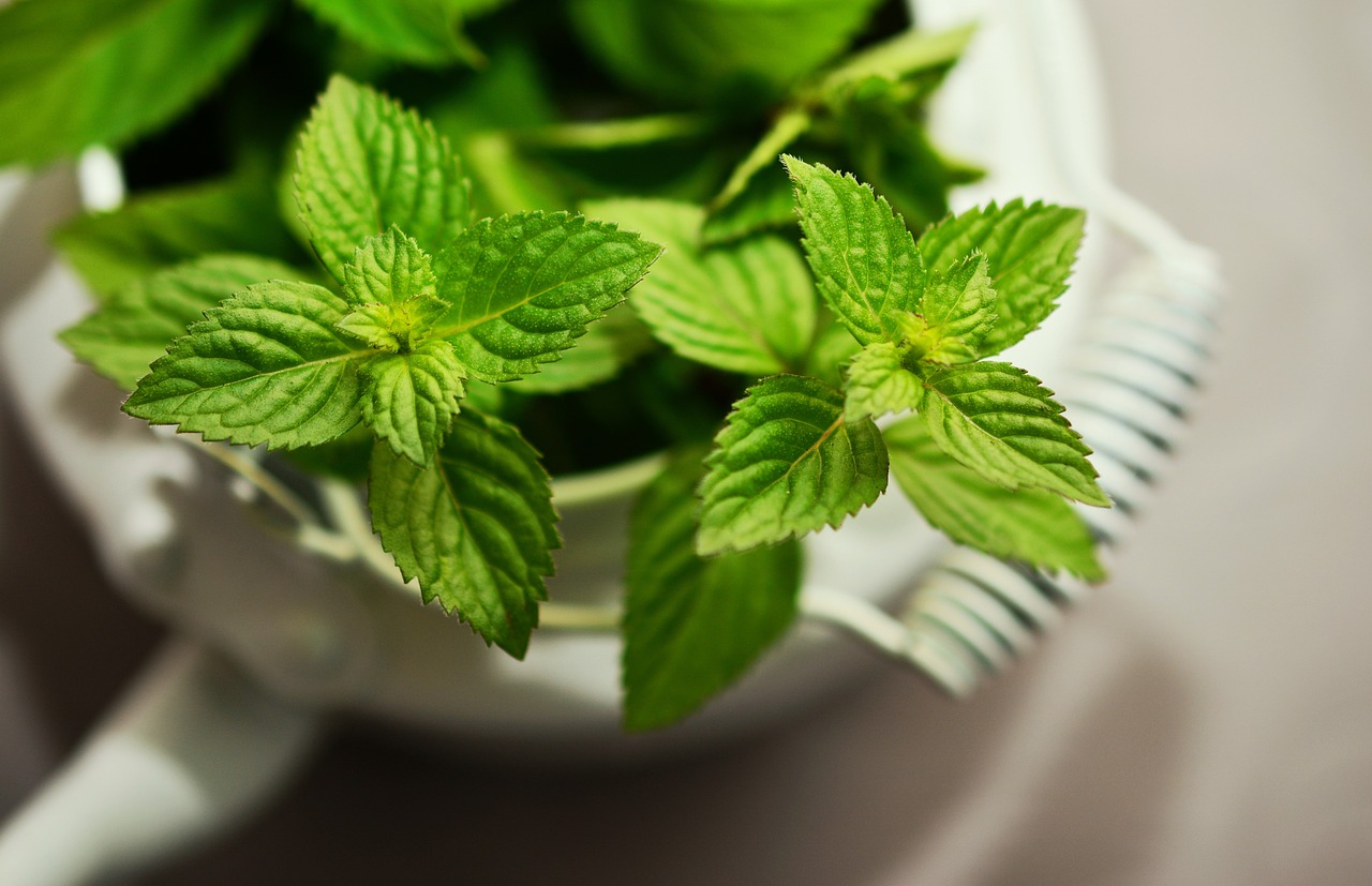 Rüyada Serinletici Nane Limonatası İçmek