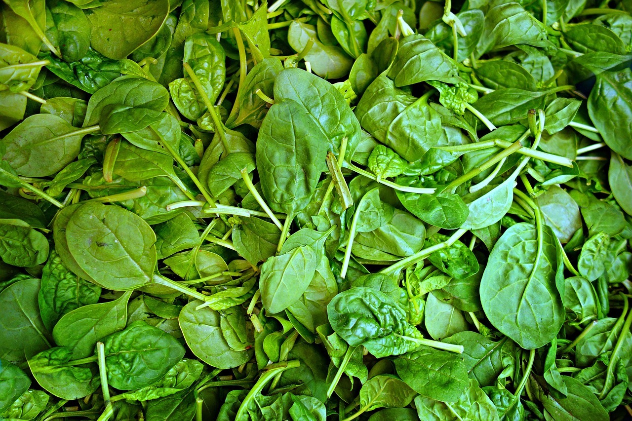 Rüyada Su Ispanağı Yemek