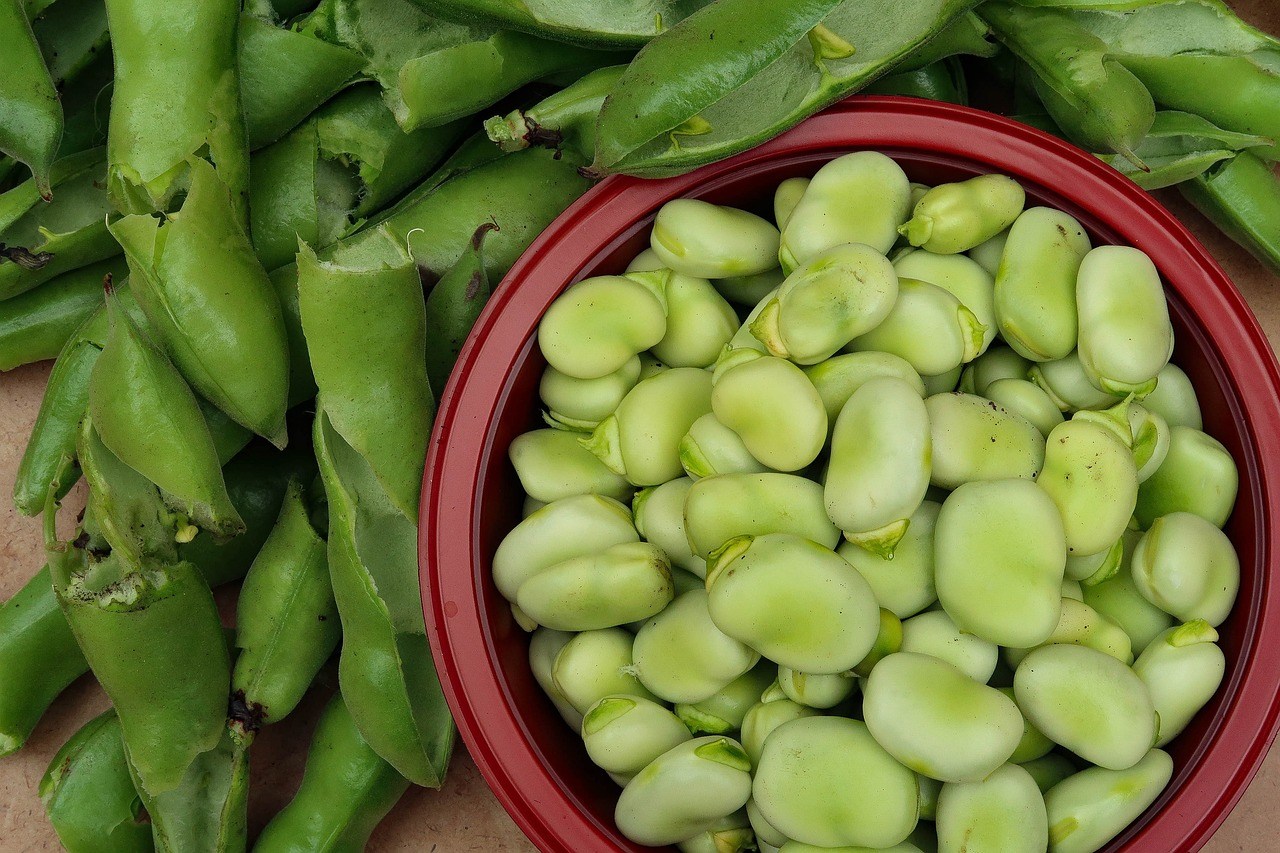 Rüyada Fava Yemek
