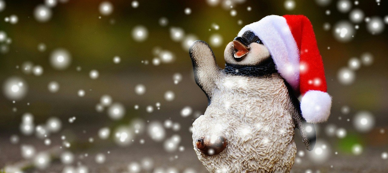 Rüyada Penguen Görmek