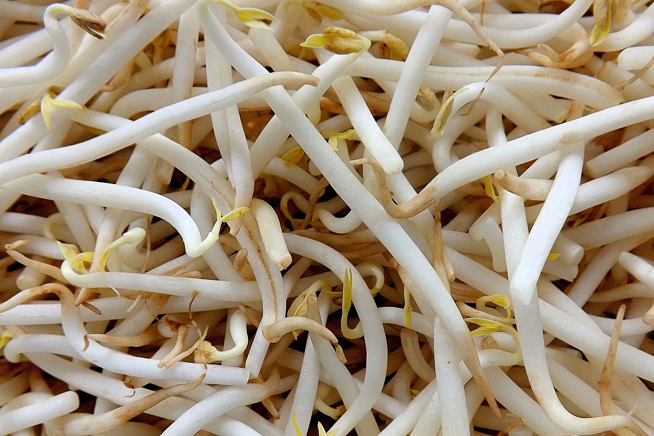 Rüyada Soya Yemek