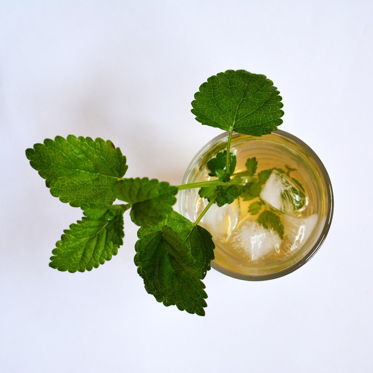Rüyada Nane Limon İçmek
